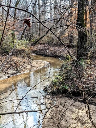 McKee Creek Trail - Charlotte, NC