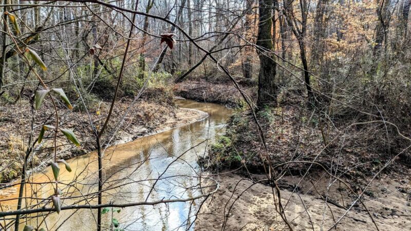 McKee Creek Trail - Charlotte, NC