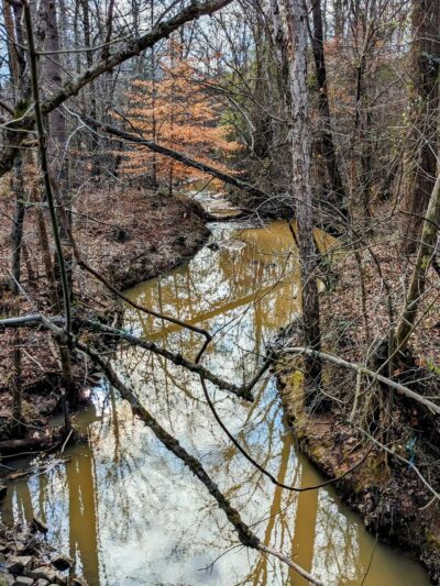 McKee Creek Trail - Charlotte, NC