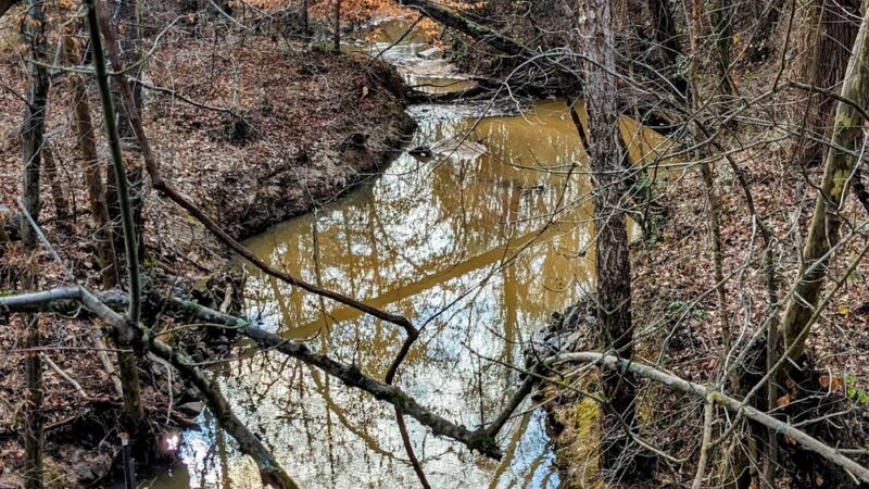 McKee Creek Trail - Charlotte, NC