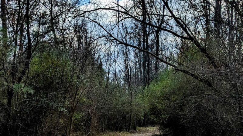 McKee Creek Trail - Charlotte, NC