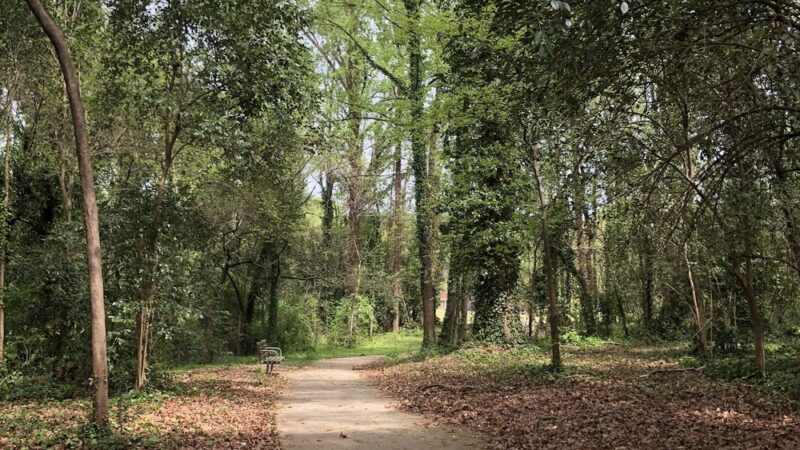 Merry Oaks Park - Charlotte, NC