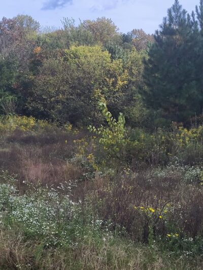 Paw Creek - Charlotte, NC