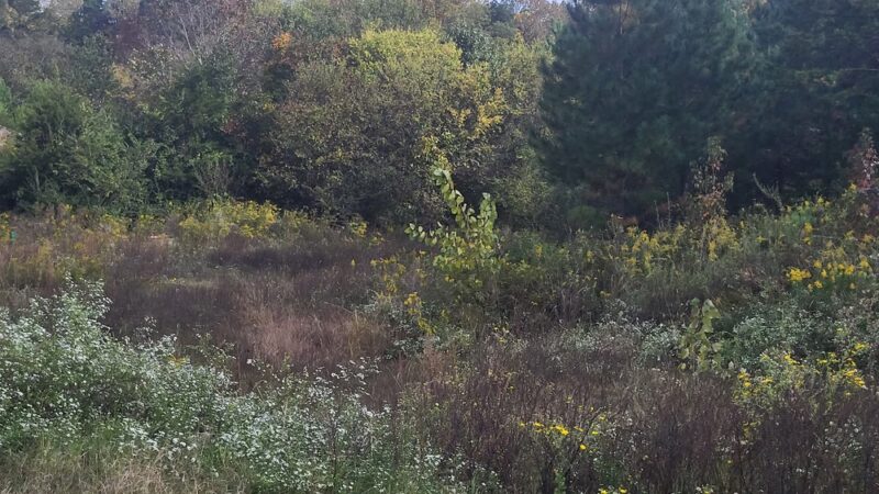 Paw Creek - Charlotte, NC