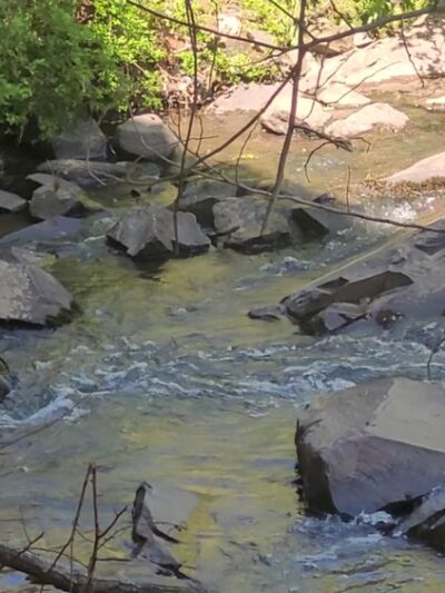 Paw Creek Greenway - Charlotte, NC