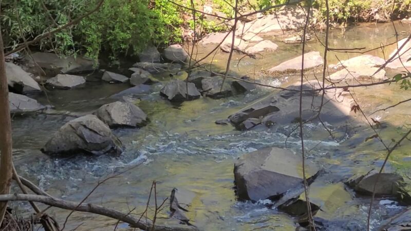 Paw Creek Greenway - Charlotte, NC