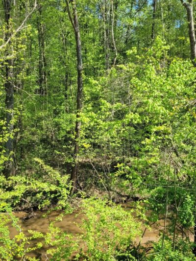 Paw Creek Greenway - Charlotte, NC