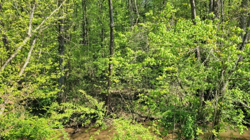 Paw Creek Greenway - Charlotte, NC