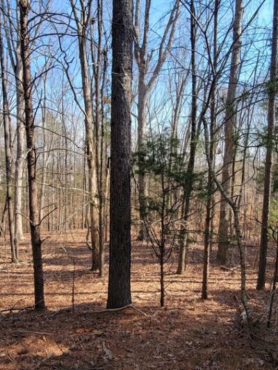 Reedy Creek Nature Preserve Park Main Entrance - Charlotte, NC