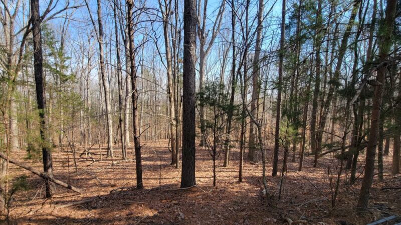 Reedy Creek Nature Preserve Park Main Entrance - Charlotte, NC