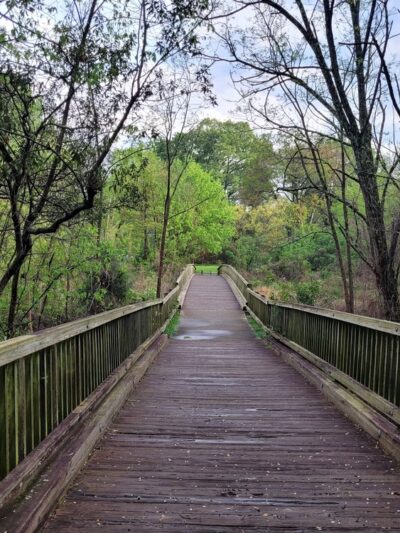 Sheffield Park - Charlotte, NC
