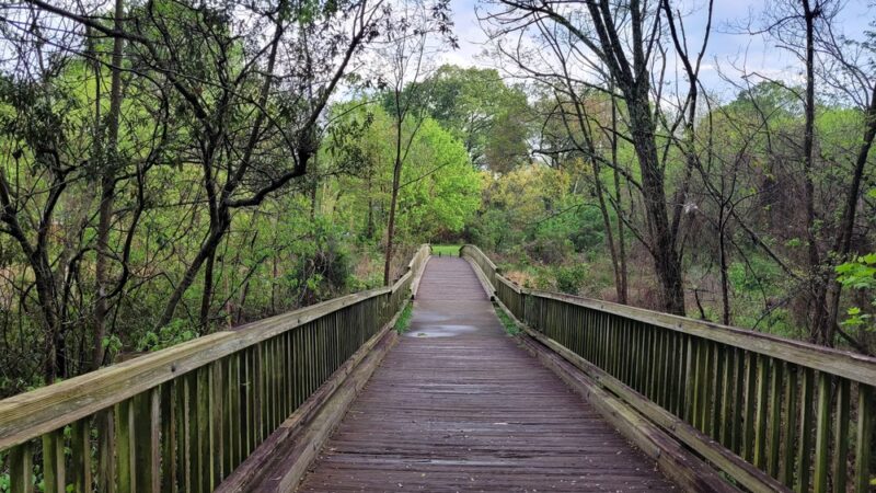 Sheffield Park - Charlotte, NC