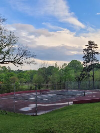Sheffield Park - Charlotte, NC