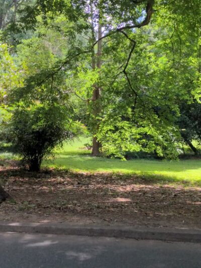 Squirrel Park - Charlotte, NC
