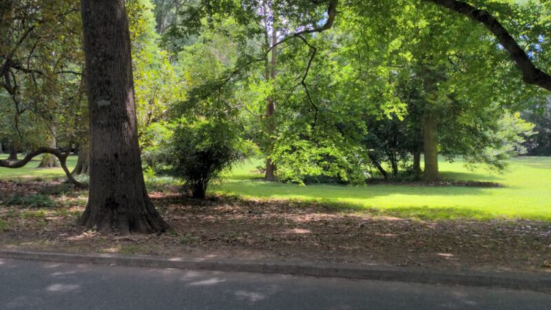 Squirrel Park - Charlotte, NC