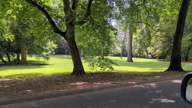 Squirrel Park - Charlotte, NC