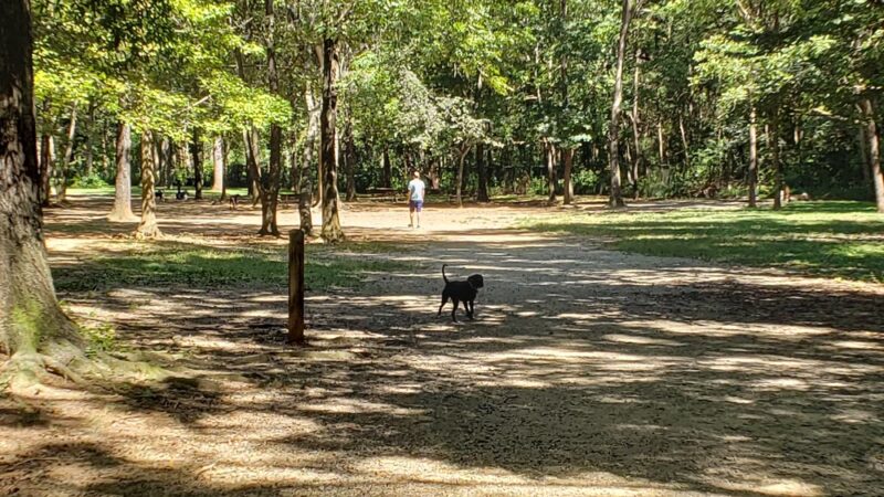 William R. Davie Park - Charlotte, NC