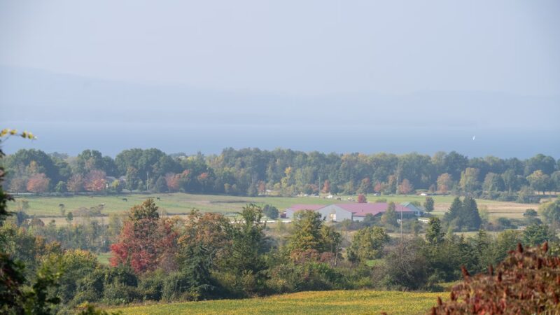 Charlotte Park and Wildlife Refuge - Charlotte, VT