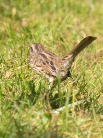 Charlotte Park and Wildlife Refuge - Charlotte, VT