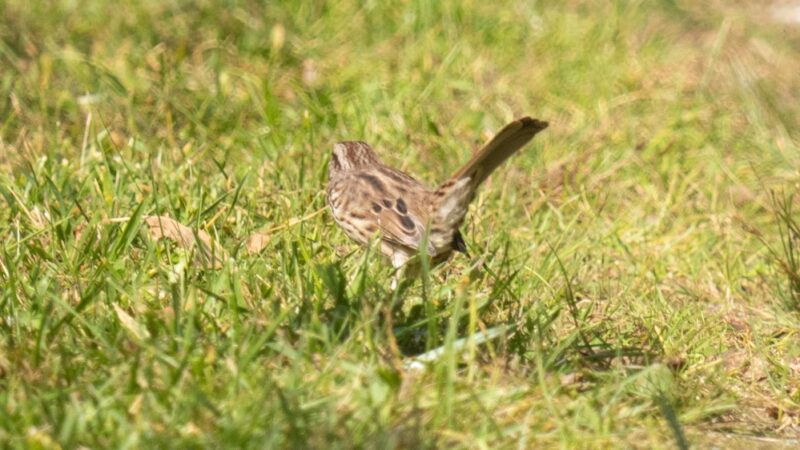 Charlotte Park and Wildlife Refuge - Charlotte, VT