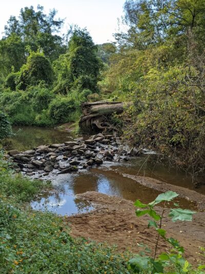 Azalea Park - Charlottesville, VA