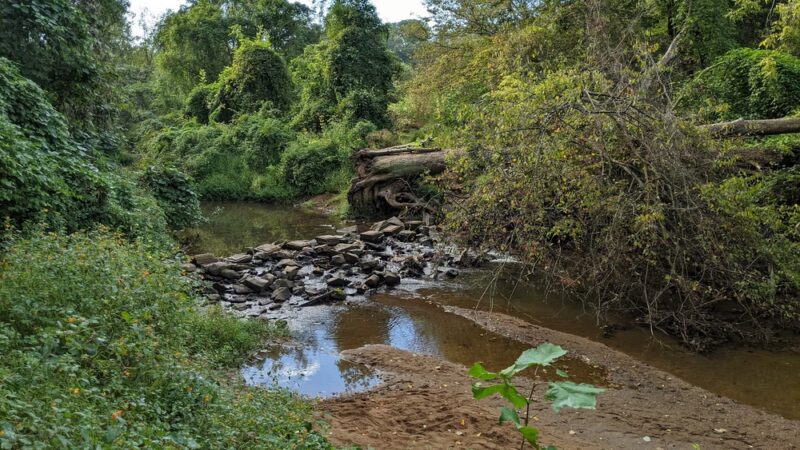Azalea Park - Charlottesville, VA