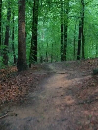 Preddy Creek Trail Park - Charlottesville, VA