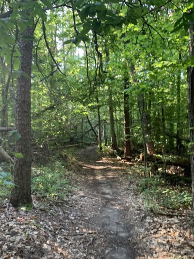 Preddy Creek Trail Park - Charlottesville, VA