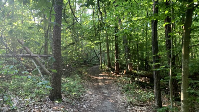 Preddy Creek Trail Park - Charlottesville, VA