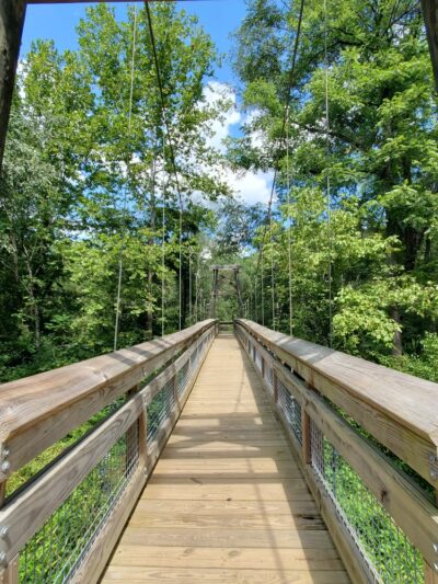 Preddy Creek Trail Park - Charlottesville, VA