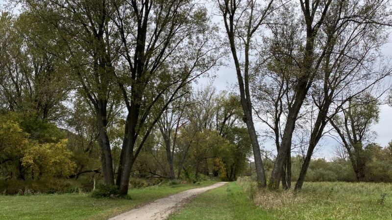 Chaseburg Nature Trail - Chaseburg, WI