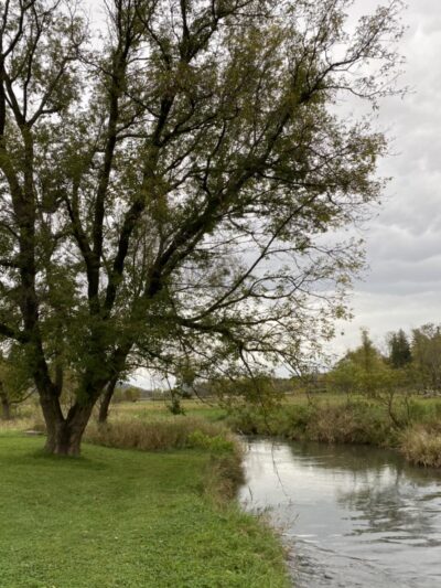 Chaseburg Nature Trail - Chaseburg, WI
