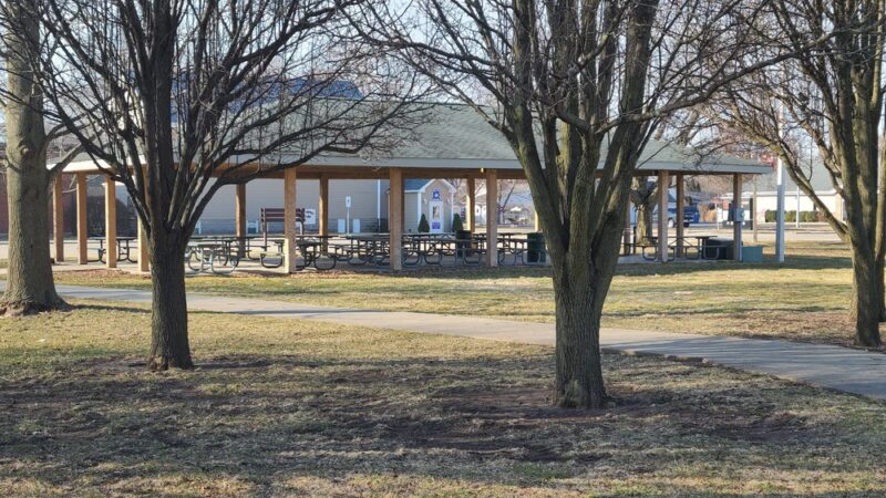 Chatham Square - Chatham, IL