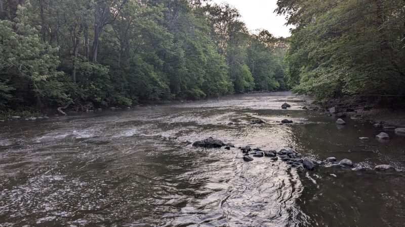 Stanley Park - Chatham, NJ