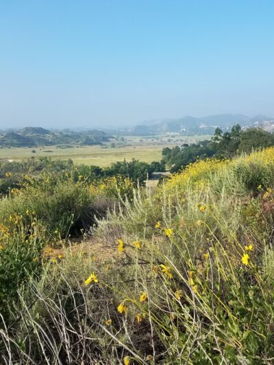 Chatsworth Oaks Park - Chatsworth, CA