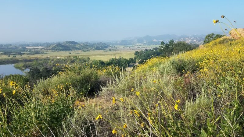 Chatsworth Oaks Park - Chatsworth, CA