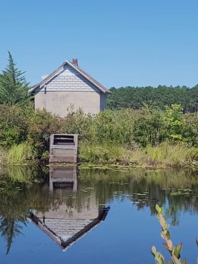 Franklin Parker Preserve — Chatsworth Lake Entrance - Chatsworth, NJ