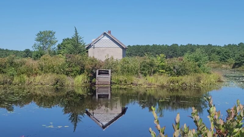 Franklin Parker Preserve — Chatsworth Lake Entrance - Chatsworth, NJ