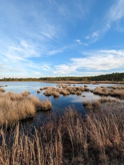Franklin Parker Preserve — Chatsworth Lake Entrance - Chatsworth, NJ