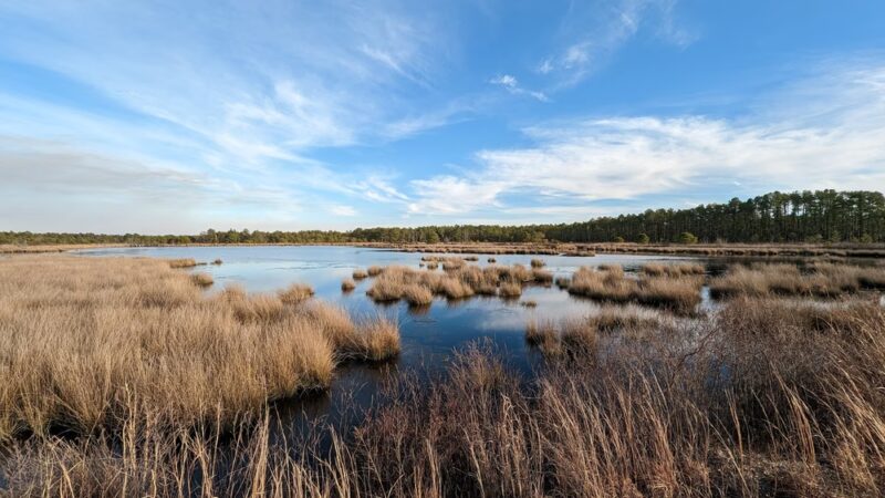 Franklin Parker Preserve — Chatsworth Lake Entrance - Chatsworth, NJ