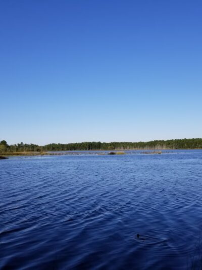 Franklin Parker Preserve — Chatsworth Lake Entrance - Chatsworth, NJ