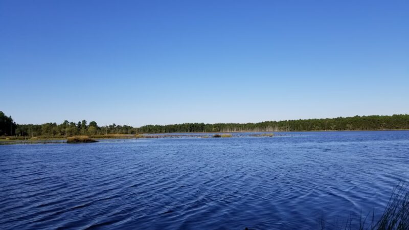 Franklin Parker Preserve — Chatsworth Lake Entrance - Chatsworth, NJ