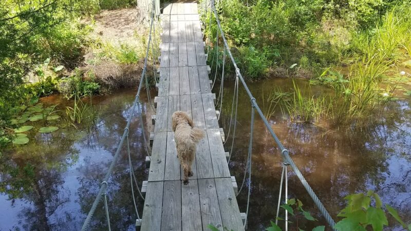 Franklin Parker Preserve — Speedwell Entrance - Chatsworth, NJ