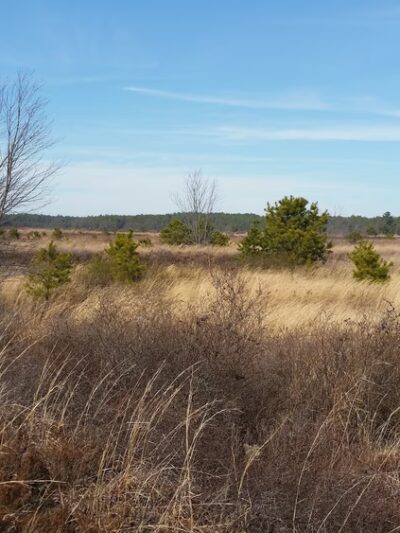 Franklin Parker Preserve — Speedwell Entrance - Chatsworth, NJ