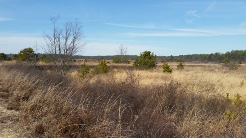 Franklin Parker Preserve — Speedwell Entrance - Chatsworth, NJ