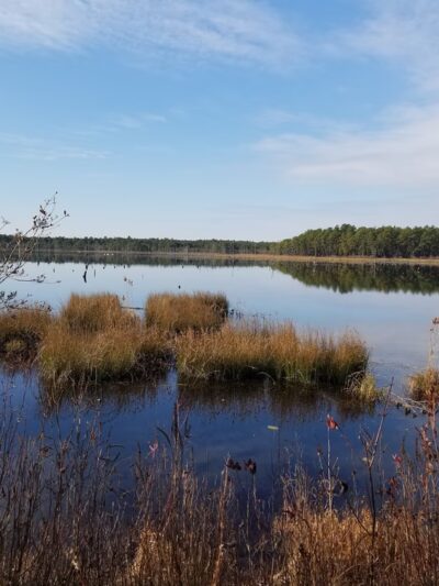 Franklin Parker Preserve — Speedwell Entrance - Chatsworth, NJ