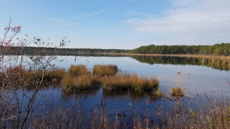 Franklin Parker Preserve — Speedwell Entrance - Chatsworth, NJ