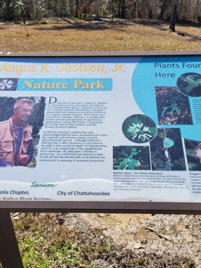 Angus Gholson Nature Park - Chattahoochee, FL