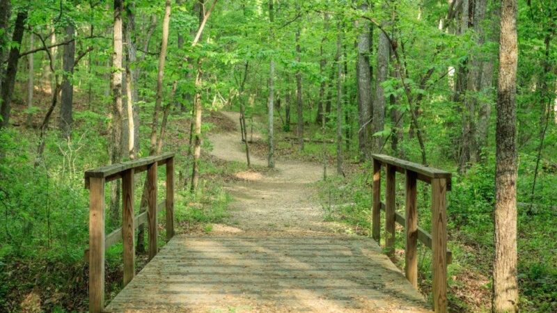 Enterprise South Nature Park - Chattanooga, TN