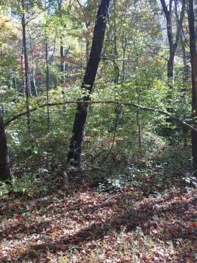 Enterprise South Nature Park - Chattanooga, TN